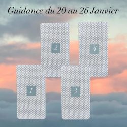 guidance du 20 janvier