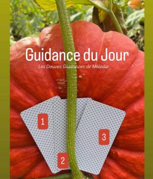 GUIDANCE ECLAIRAGE